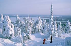 NORTH